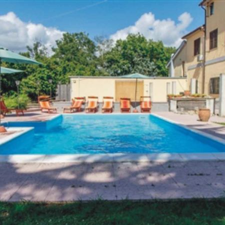 B&B La Magnolia Bassano in Teverina Zewnętrze zdjęcie